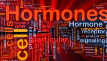 How A Misaligned Back Can Alter Hormonal Balance