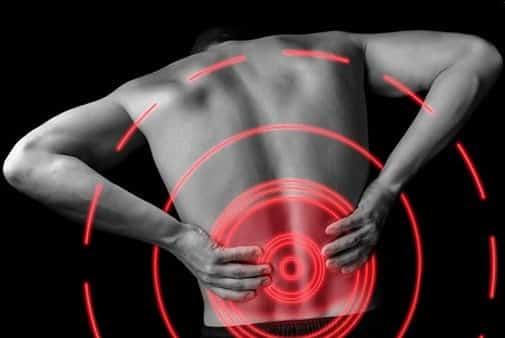 Facts About Back Pain