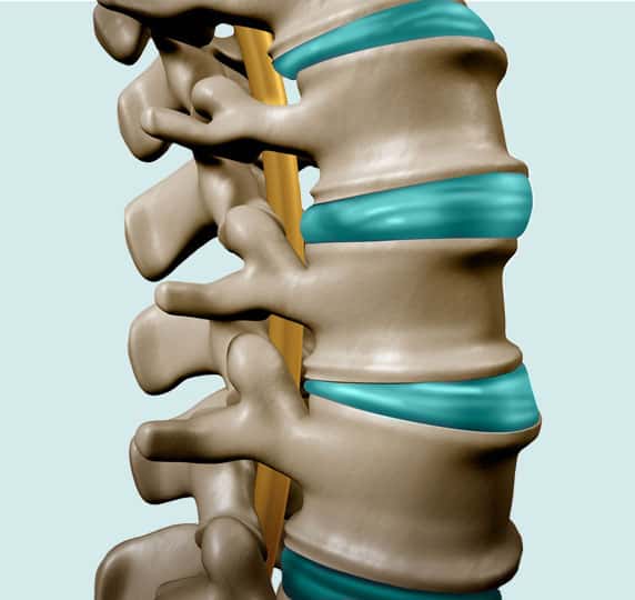 Best West LA Chiropractor